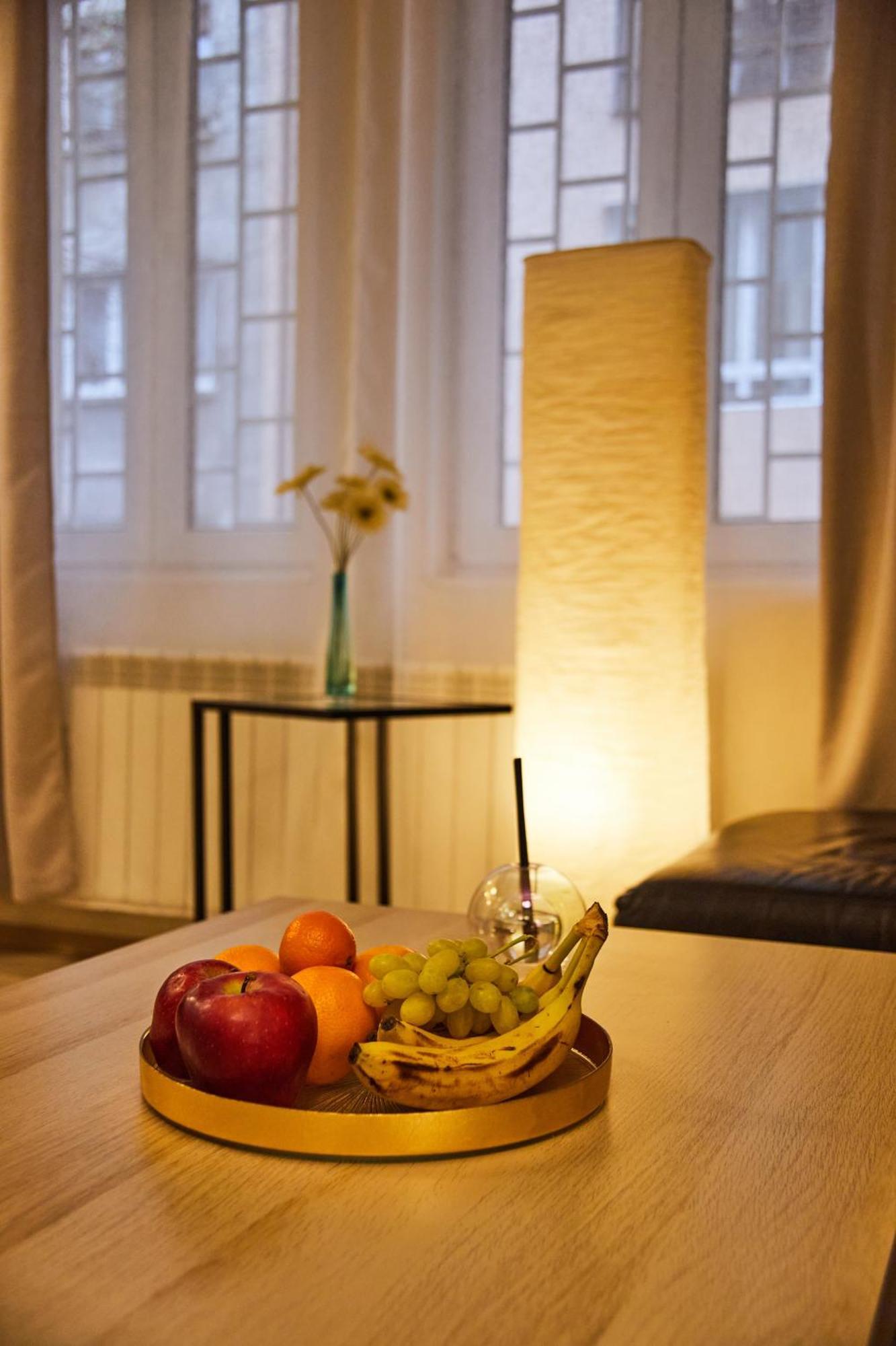 Luxury Cozy Modern Apartament Sofia